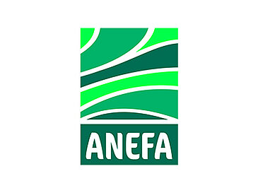 Logo ANEFA