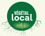 Logo végétal local
